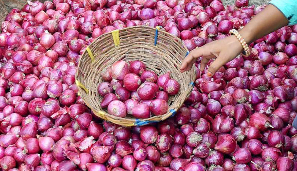 भारतीय बजारले धानेको नेपालको प्याज, आत्मनिर्भर हुन नेपालको सम्भावना कति छ ?