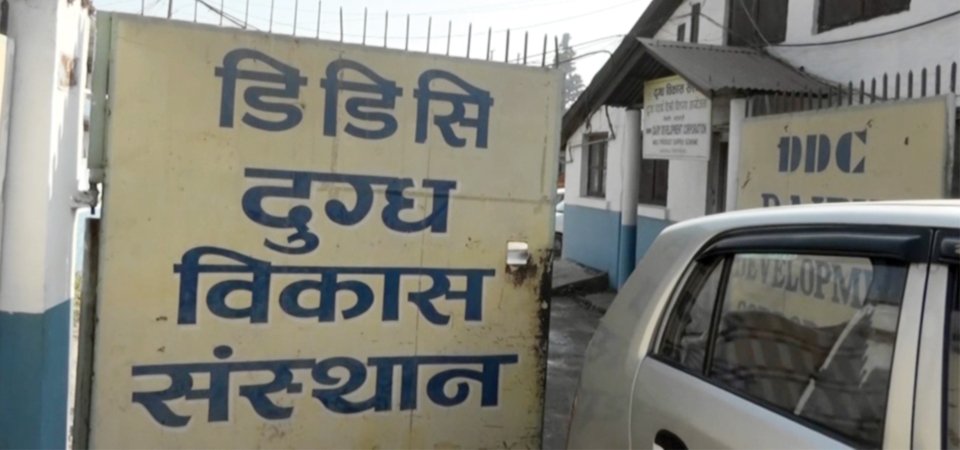 डिडिसीले किसानको बक्यौता रकम भुक्तानी गर्दै