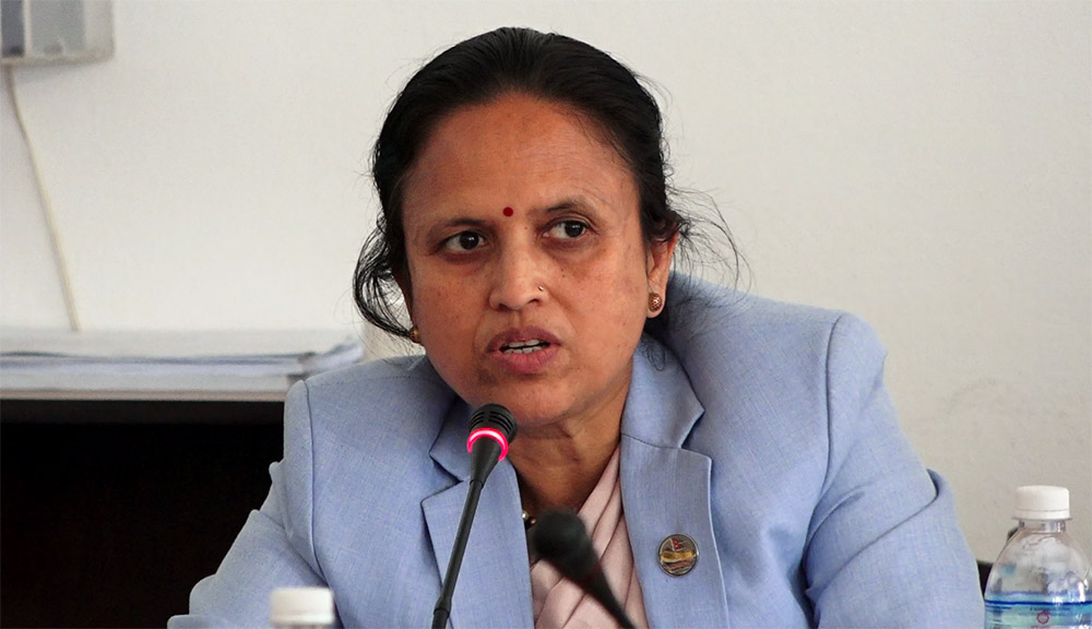 ‘डिजिटलाइजेसन गर्दै डिजिटल रूपान्तरणमार्फत मुलुकको समृद्धि’ : मन्त्री शर्मा