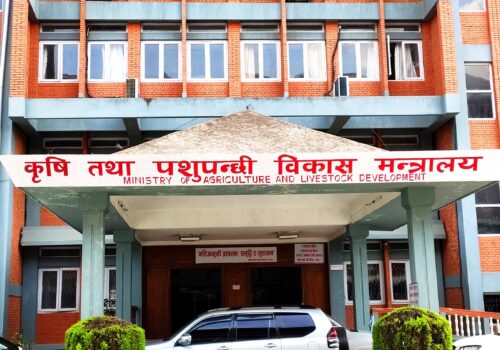 पशु चौपायामा लम्पी स्किनको अवस्था पत्ता लगाउन टोली परिचालन