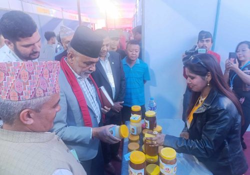 महको बजारीकरणमा समस्या, २१ टन मौज्दातमा